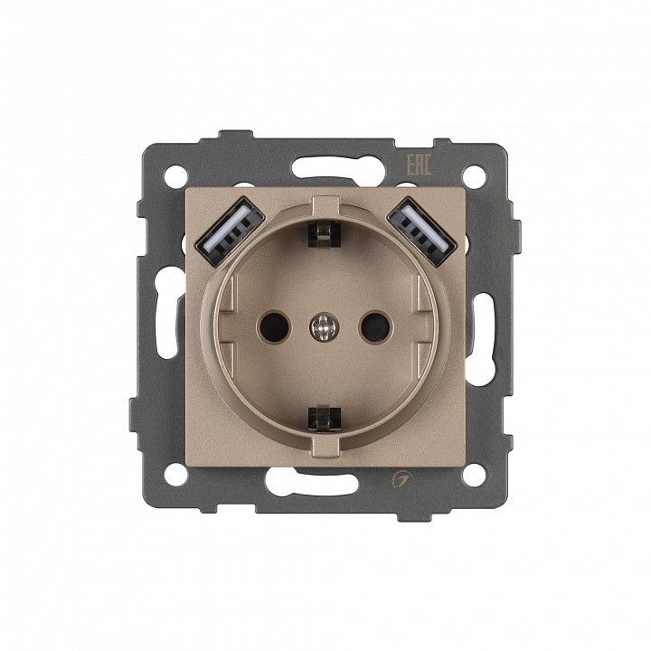 Розетка с заземлением и 2хUSB type A, без рамки Arlight SCT 049821