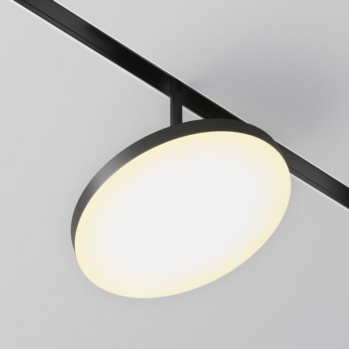 Светильник на штанге Maytoni Technical Plato TR131-2-15W3K-B