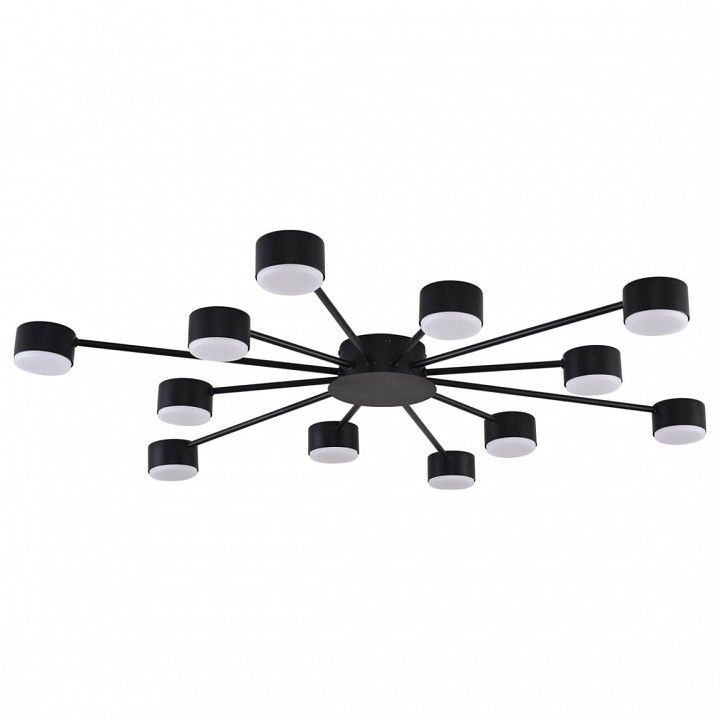 Потолочная люстра Lumion TORINA 8344/12C