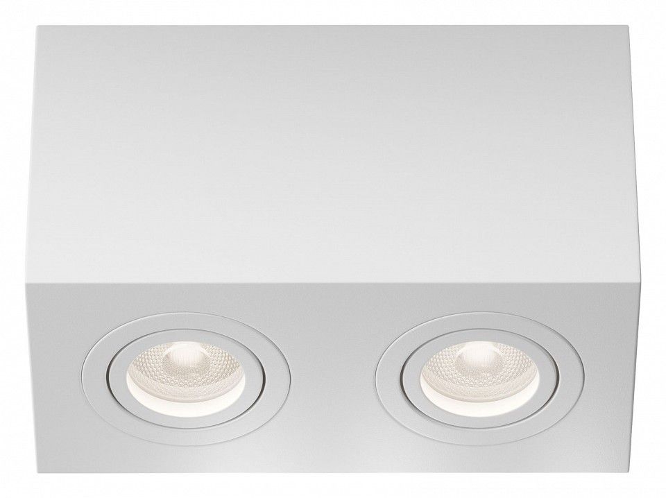 Накладной светильник Maytoni Technical Атом C017CL-02W