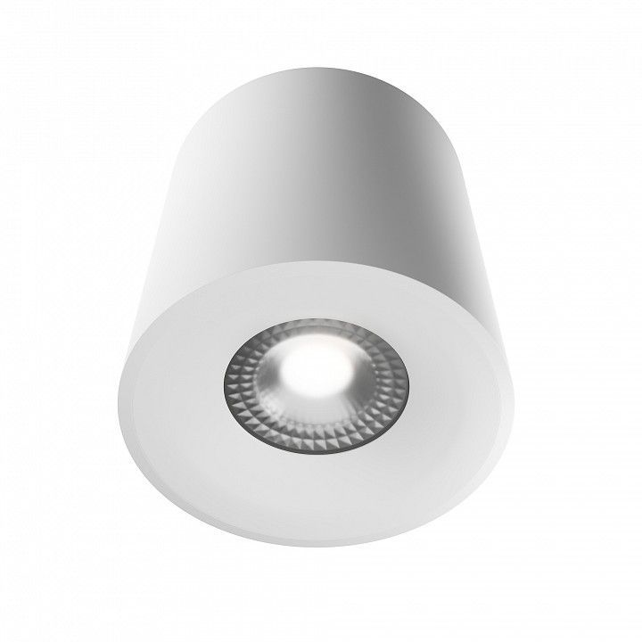 Накладной светильник LIGHTERA Shamrock LE201CL-1WB