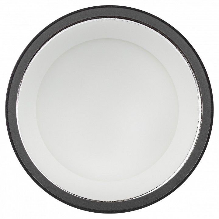 Подвесной светильник Эра  PL12 GX53 BK/SL