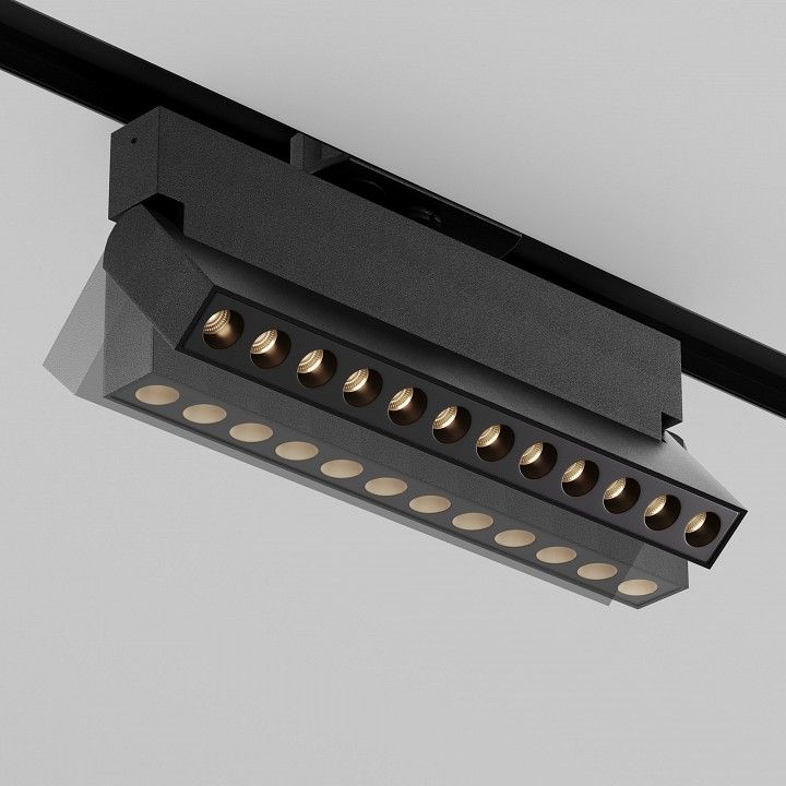 Накладной светильник Maytoni Technical Точки поворотный TR224-1-12WCCT-M-B