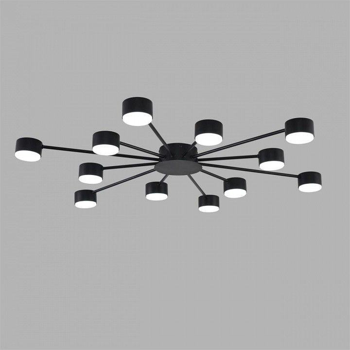 Потолочная люстра Lumion TORINA 8344/12C