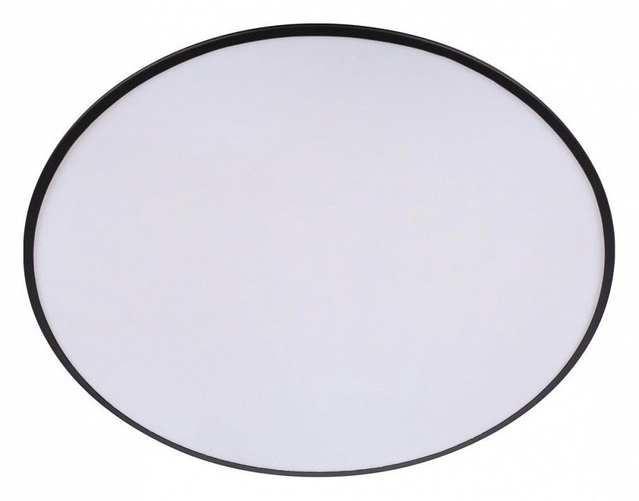 Накладной светильник Loft it Brim 10226 Black