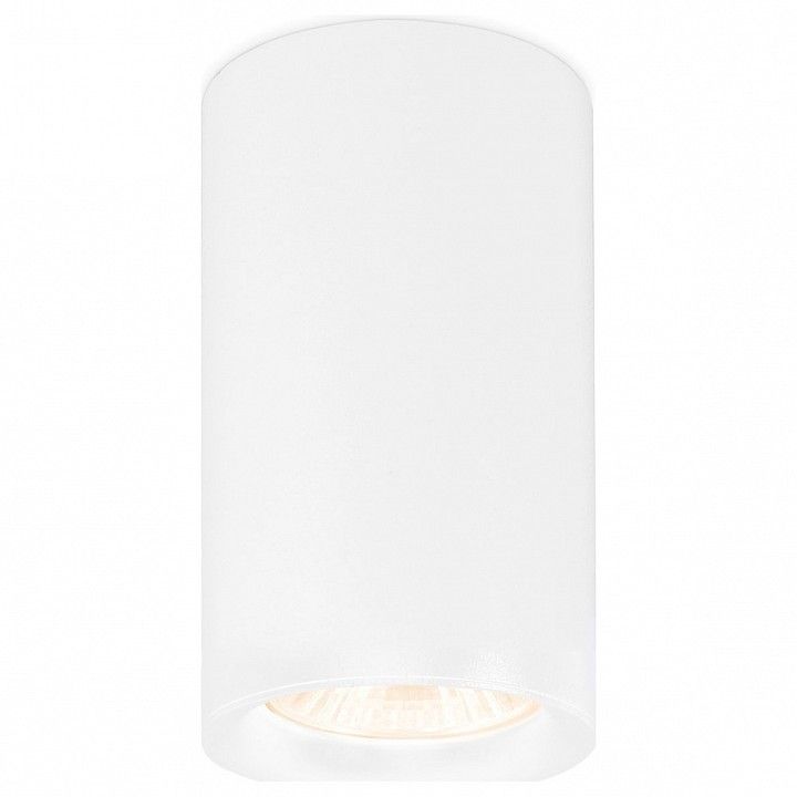 Накладной светильник Ambrella Light TN TN213133