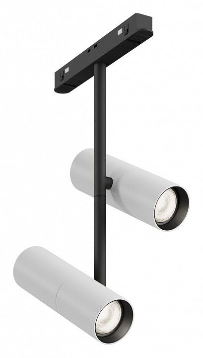 Светильник на штанге Maytoni Technical Элти дуэт TR005-4-2X12W-DS-BW