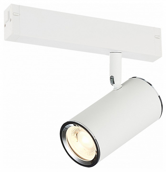 Светильник на штанге ST-Luce SKYLINE 220 ST504.506.01
