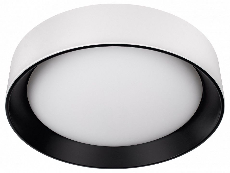 Накладной светильник Loft it Coin 10202 WB