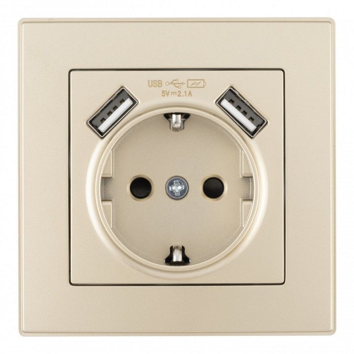 Розетка с заземлением и со шторкой и 2хUSB Arte Milano SET06-1 SET06-1-47-1 shampan