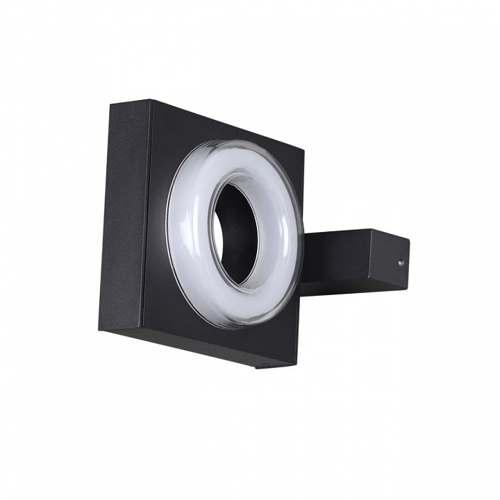 Накладной светильник Odeon Light NATURE 6654/6WL