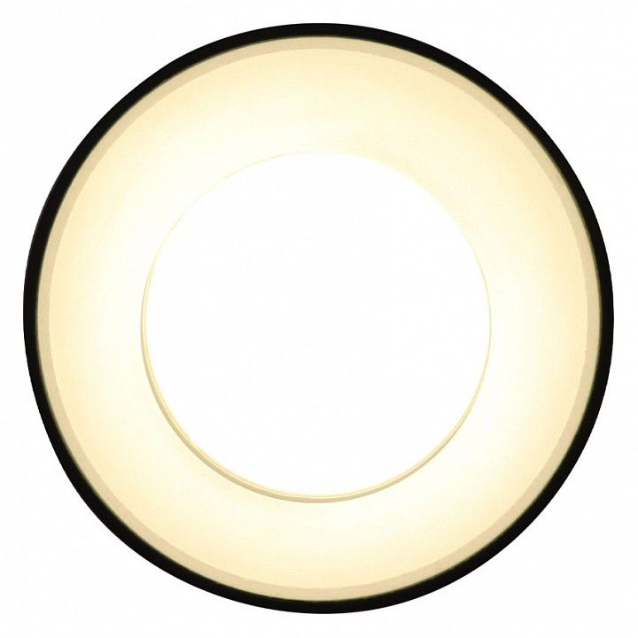 Накладной светильник Ambrella Light TN TN3412