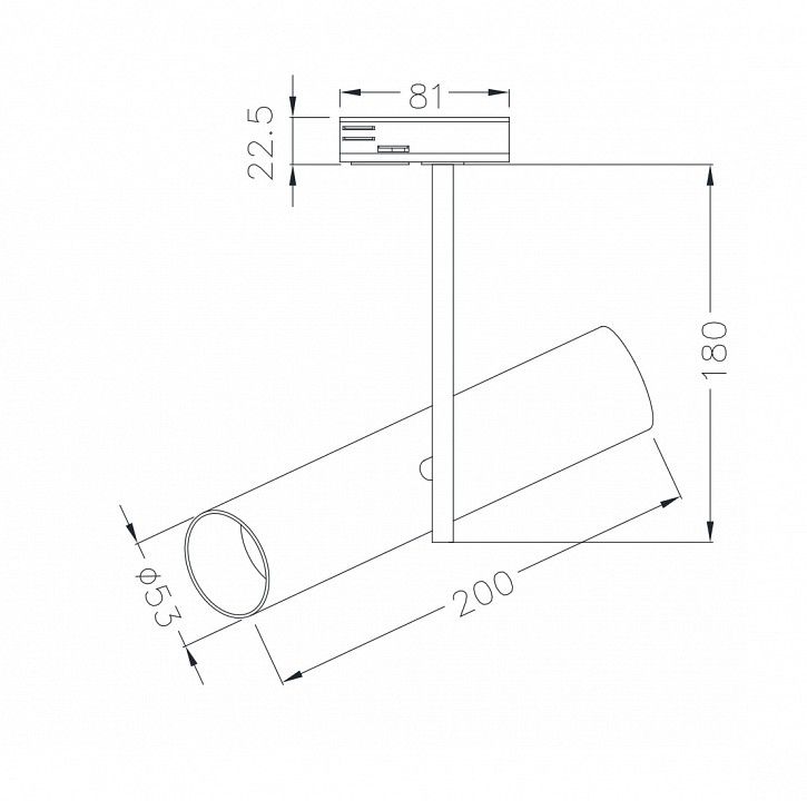 Светильник на штанге Maytoni Technical Элти TR005-1-GU10-BG