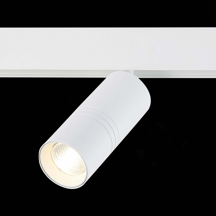 Светильник на штанге ST-Luce Lemmi ST365.536.18