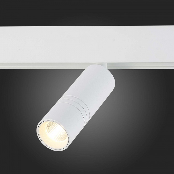 Светильник на штанге ST-Luce Lemmi ST365.536.12