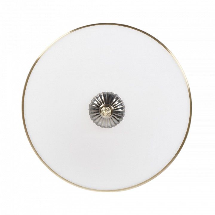 Накладной светильник MyFar Ceiling MR1527-3C