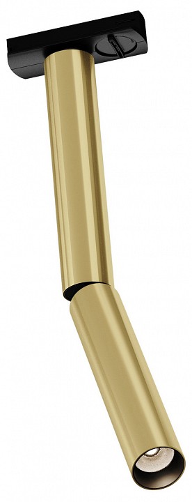 Светильник на штанге Maytoni Technical Focus T TR142-1-6W3K-BS