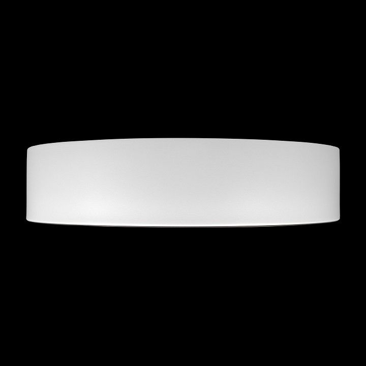 Накладной светильник Loft it Coin 10202 WB