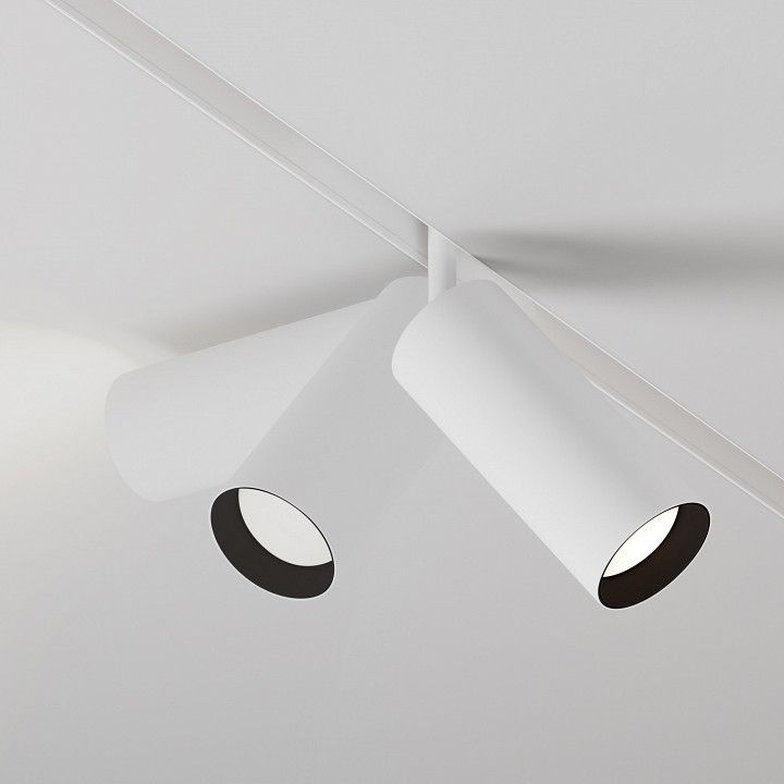 Светильник на штанге Maytoni Technical Фокус TR032-2-20W3K-S-W