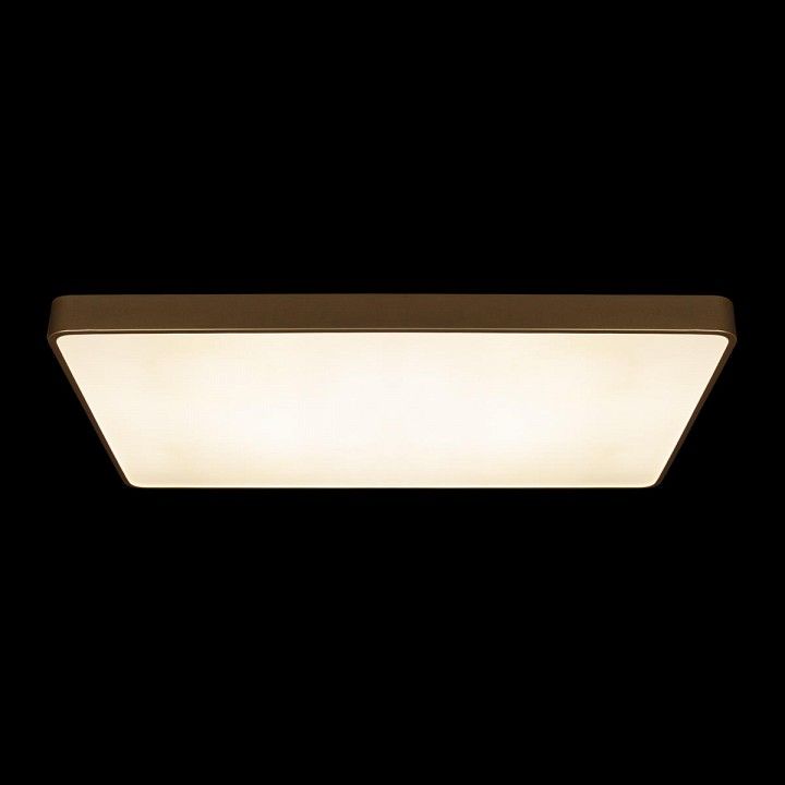Накладной светильник Loft it Flims 10228/E