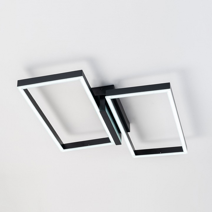 Накладной светильник Escada Scales 10209/2LED Black