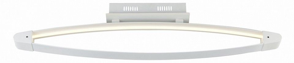 Накладной светильник ST-Luce SL920 SL920.102.01