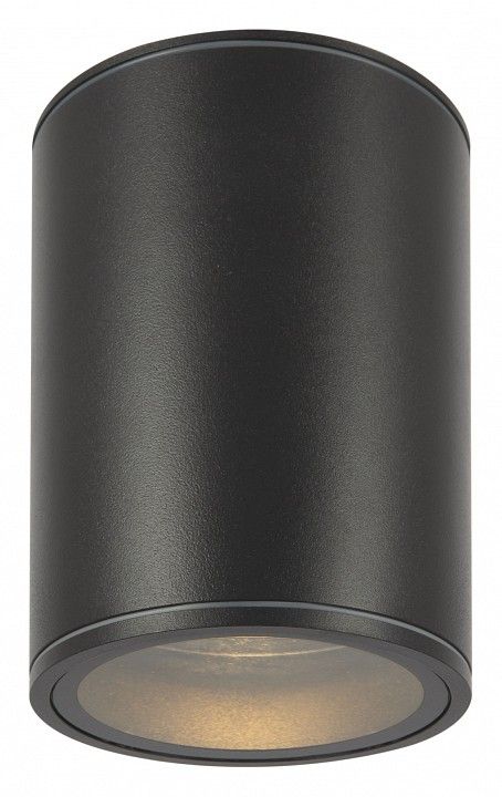 Накладной светильник Maytoni Outdoor Бар O306CL-L7GF