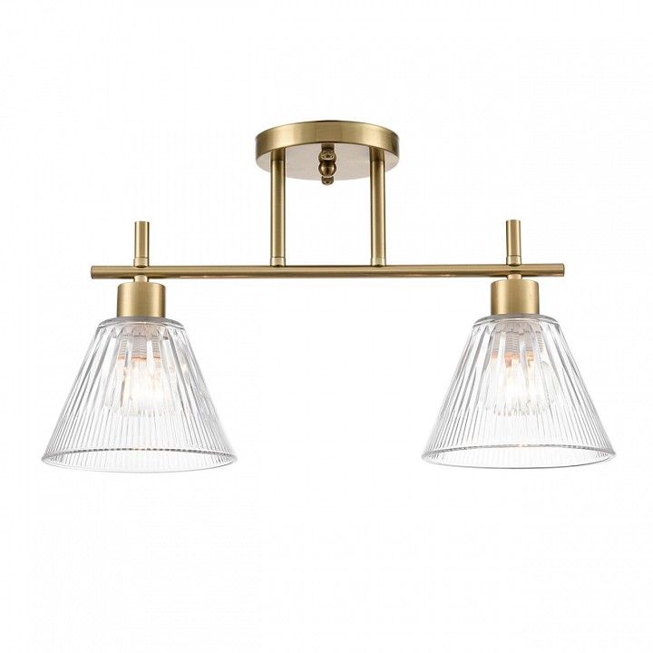 Светильник на штанге Lumion Vivian 8188/2C