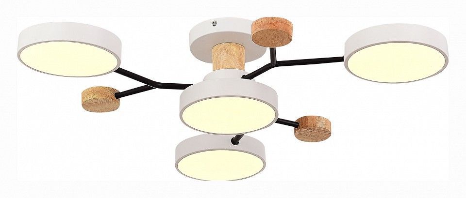 Потолочная люстра EVOLUCE Faema SLE6006-502-04