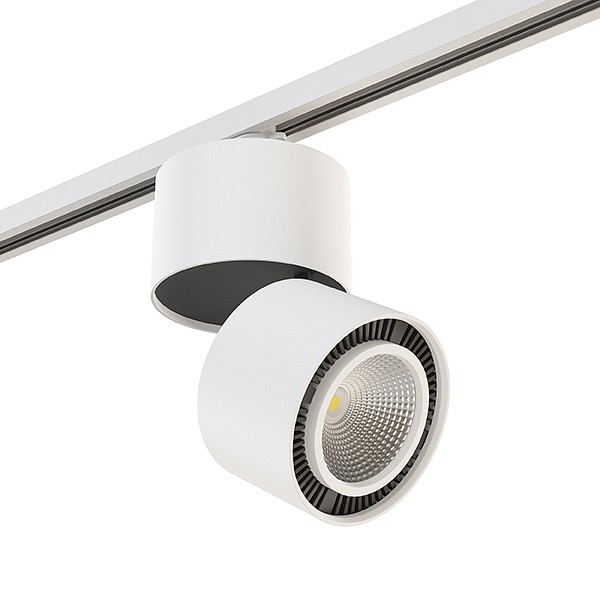 Накладной светильник Lightstar Forte Muro A1T214816
