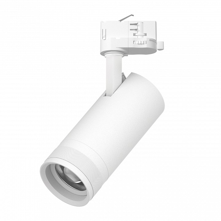 Светильник на штанге Lightstar Canno Pro C4206QT