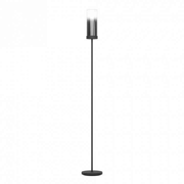 Торшер Eglo TOOTHILL 44004