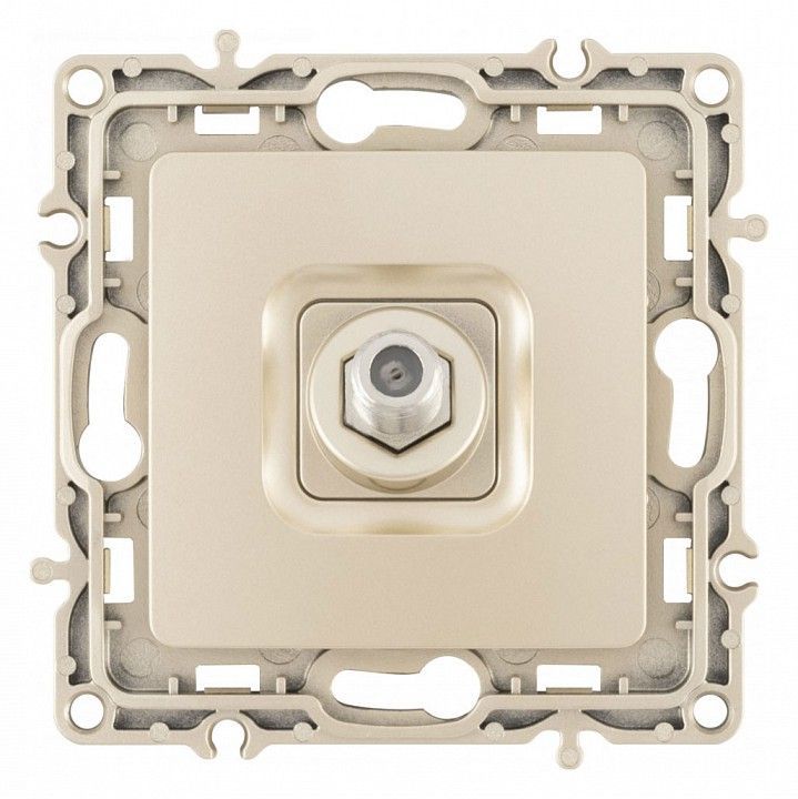 ТВ-розетка без рамки Arte Milano am-217 217.42-1.shampan
