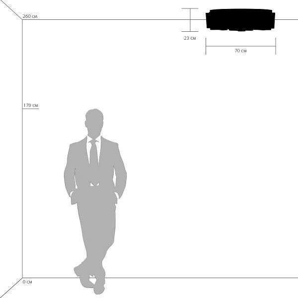 Накладной светильник Lightstar Nubi 802095