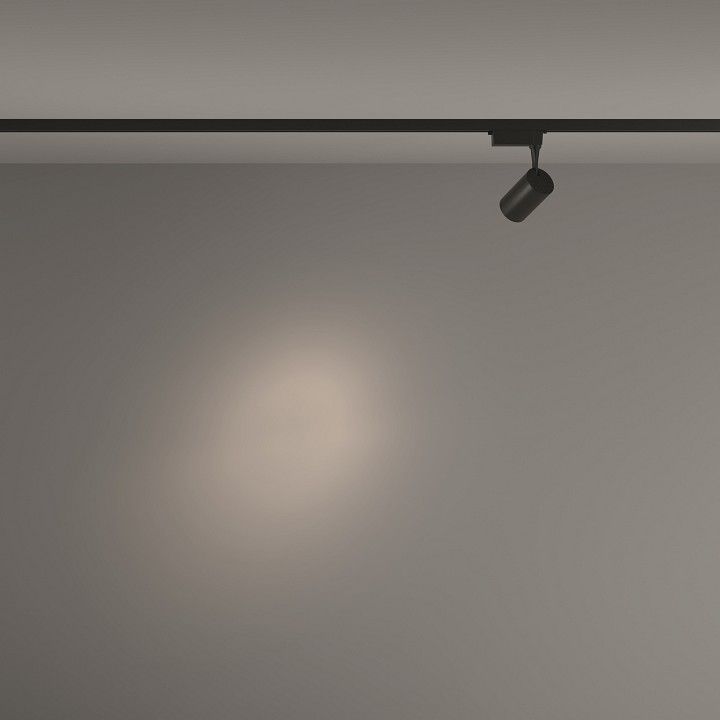 Светильник на штанге Maytoni Technical Вуоро TR003-1-6W4K-S-B