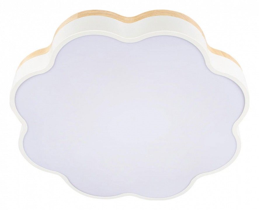 Накладной светильник Loft it Axel 10225/36 White