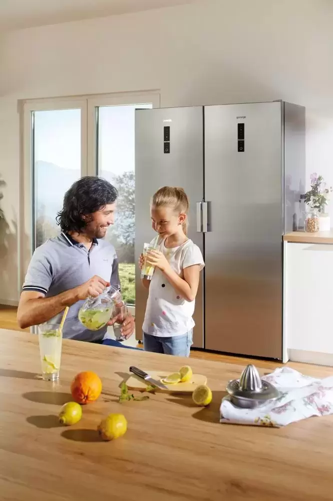 Однокамерный холодильник Gorenje R 6192 LX