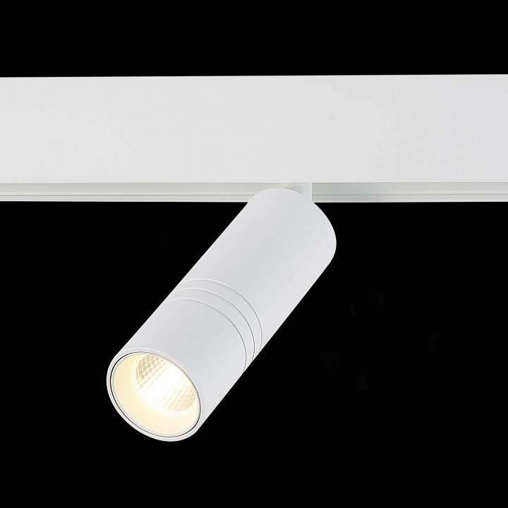 Светильник на штанге ST-Luce Lemmi ST365.536.12