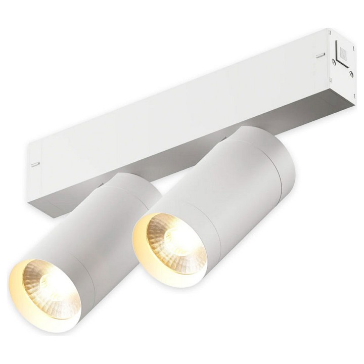 Светильник на штанге AM-Group SMART CYLINDER AM528 WH-220V-2X10W SMART