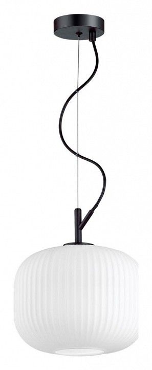 Подвесной светильник Odeon Light Roofi 4753/1