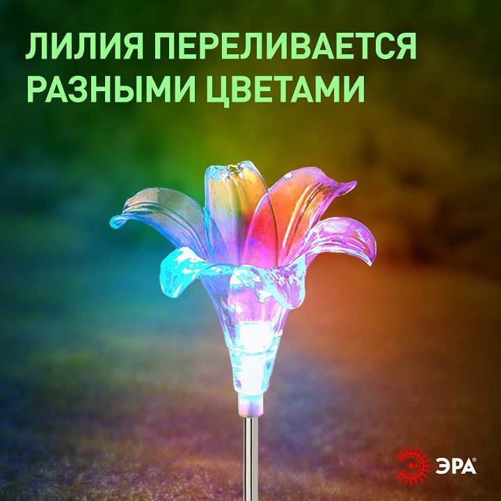 Наземный низкий светильник Эра  ERASF22-19