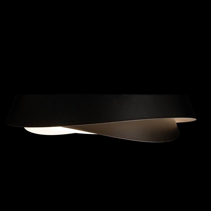 Накладной светильник Loft it Petale 10256 Black