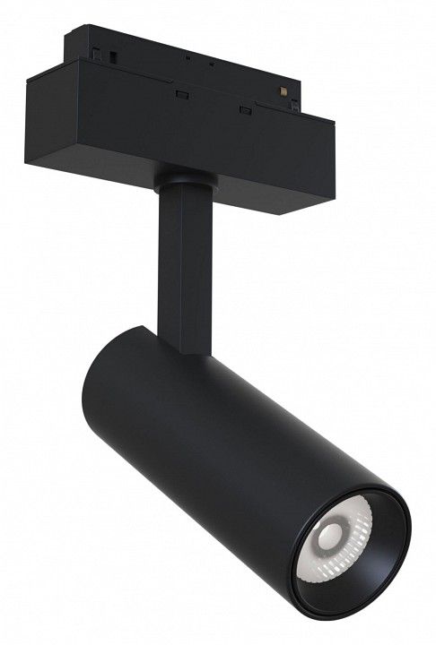 Светильник на штанге Maytoni Technical Фокус TR019-2-10W4K-B