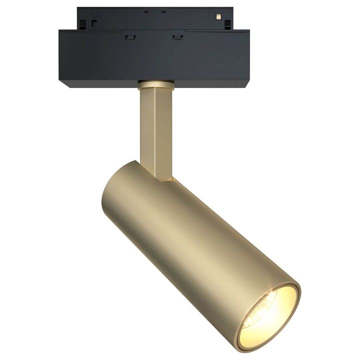 Светильник на штанге Maytoni Technical Фокус TR019-2-10W4K-MG