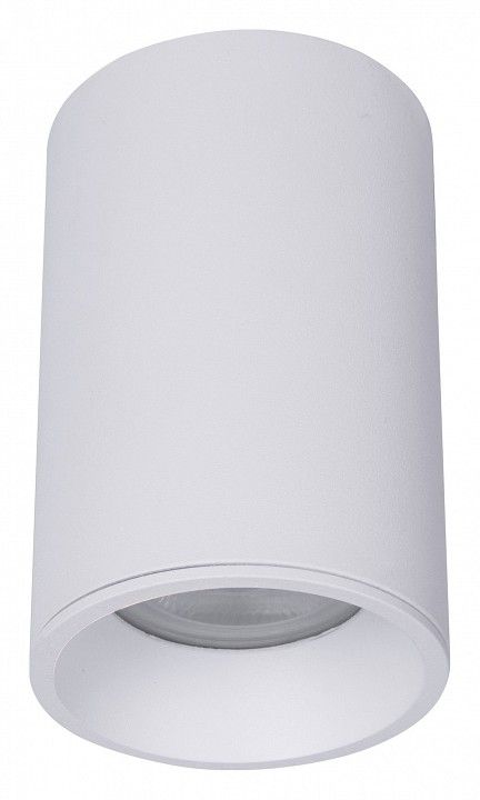 Накладной светильник Maytoni Technical Зум C029CL-01-S-W