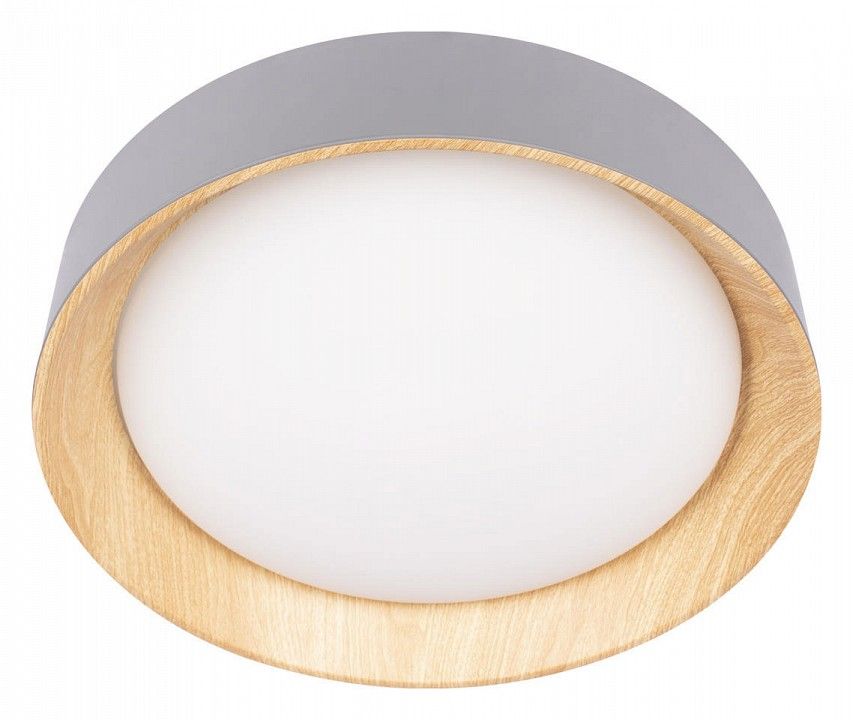 Накладной светильник Loft it Coin 10202 Grey