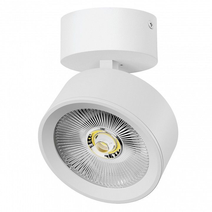 Спот Lightstar Alta Pro A5646SO