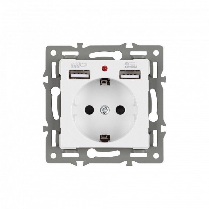 Розетка с заземлением и 2хUSB type A, без рамки Arlight SCT 043733