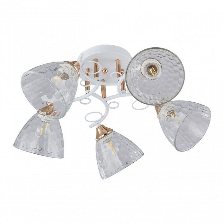 Потолочная люстра Arte Milano AMALFI-321395 321395/5A WH+FG