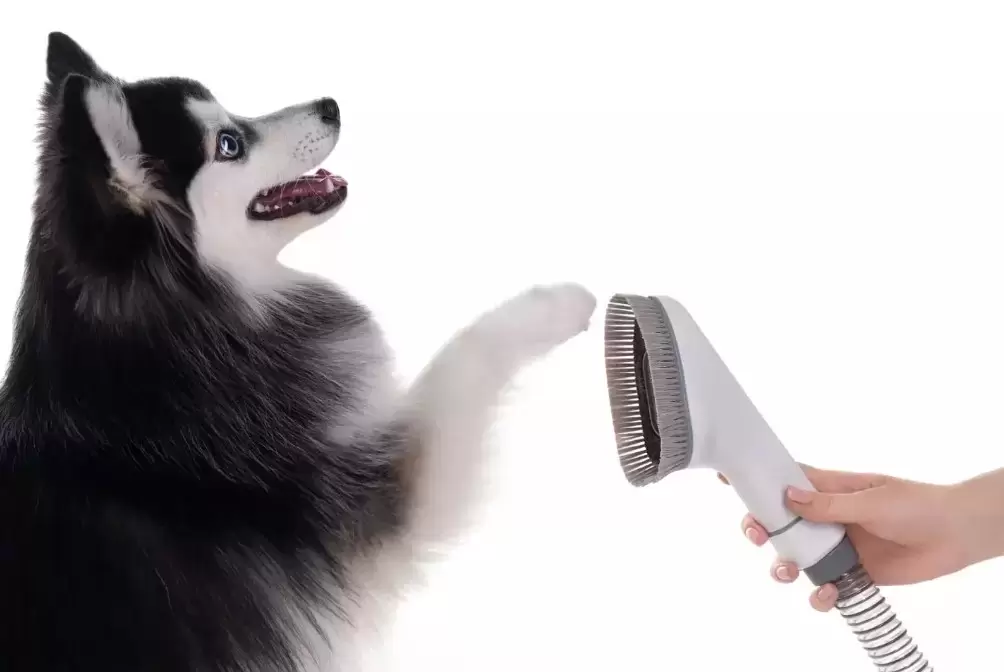 Пылесос для груминга Haier PetPure M Pro